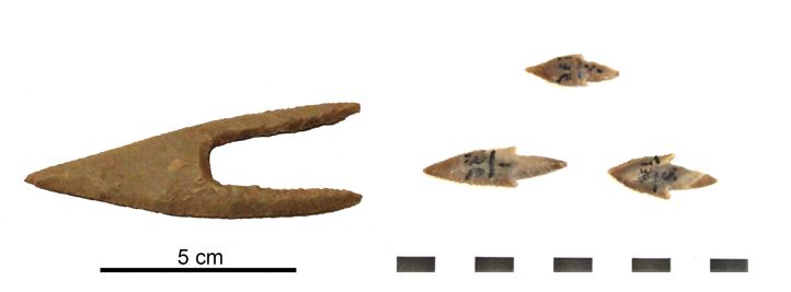 Arrowheads typical for Hierakonpolis found in Naqada graves in Cemetery 17 in Lower Nubia. a) Large concave-base arrowhead with long straight lobes found in grave 50. b) Three tanged arrowheads with barbs found in grave 78. Photos by Alexandros Tsakos. Courtesy of Nubia Museum in Aswan.