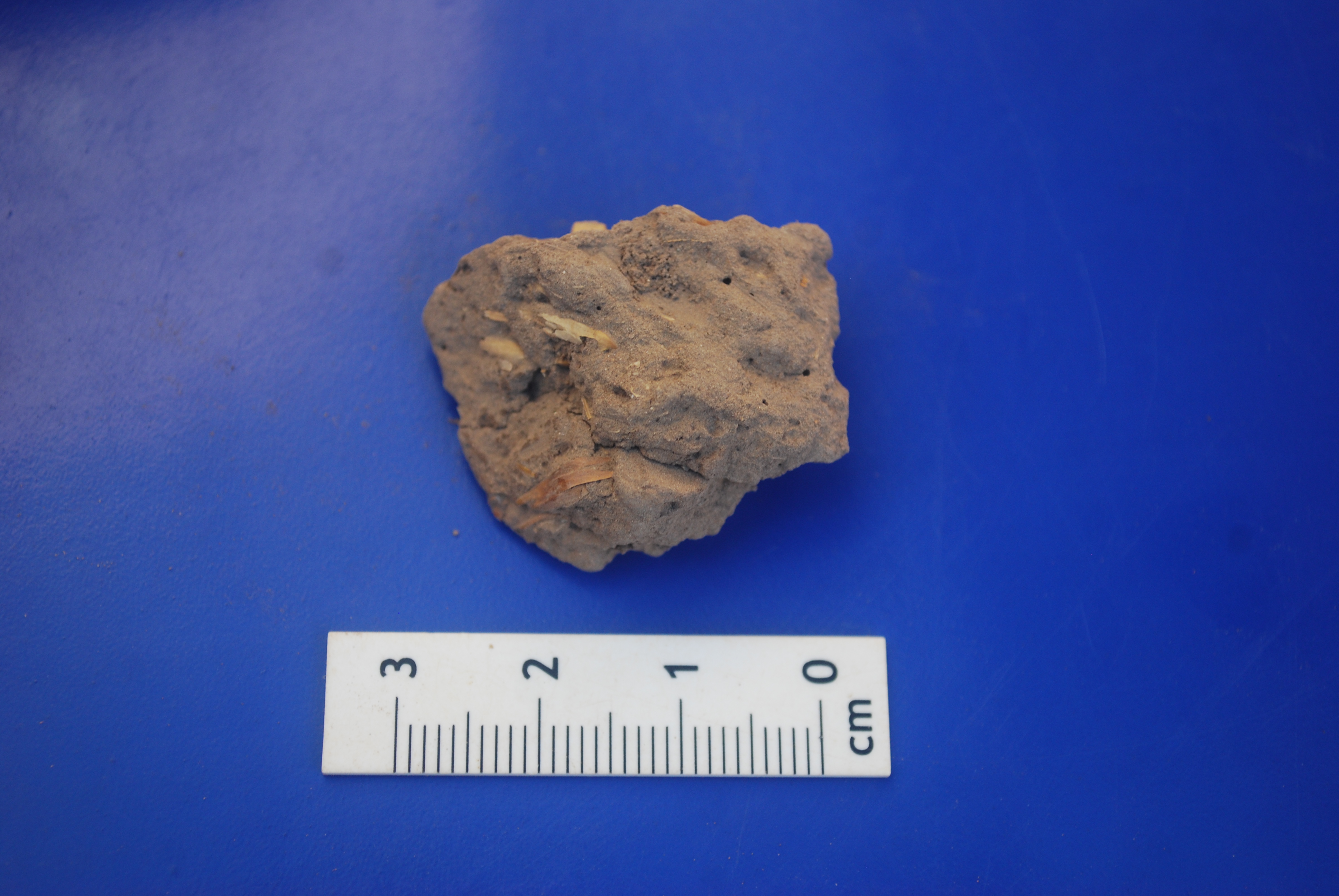 Organic residues on a mudbrick fragment prior to being floated in water. (photo by the author).