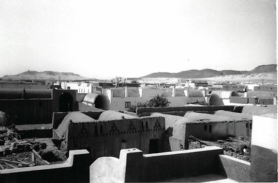 The houses in one of the <em>nejas</em> in West Aswan, with their barrel-vault roofs. (Jennings, 1981).