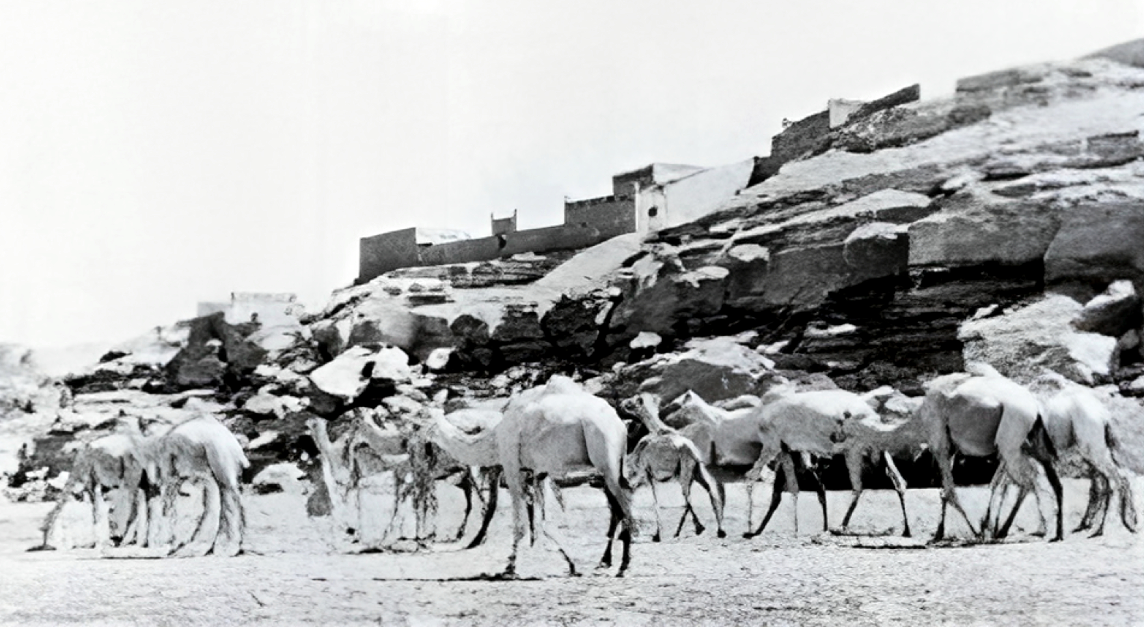 Photograph of old Abu Hor in 1962. Photo from Riad and Abd el-Rasoul (2014: p. 293/b).